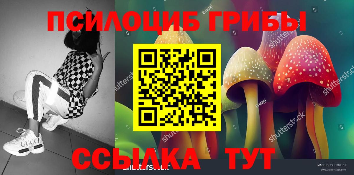 Галлюциногенные грибы MAGIC MUSHROOMS  Вход с VPN  Новодвинск  Галлюциногенные грибы ЛСД 